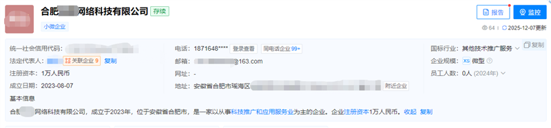 合肥网络科技公司