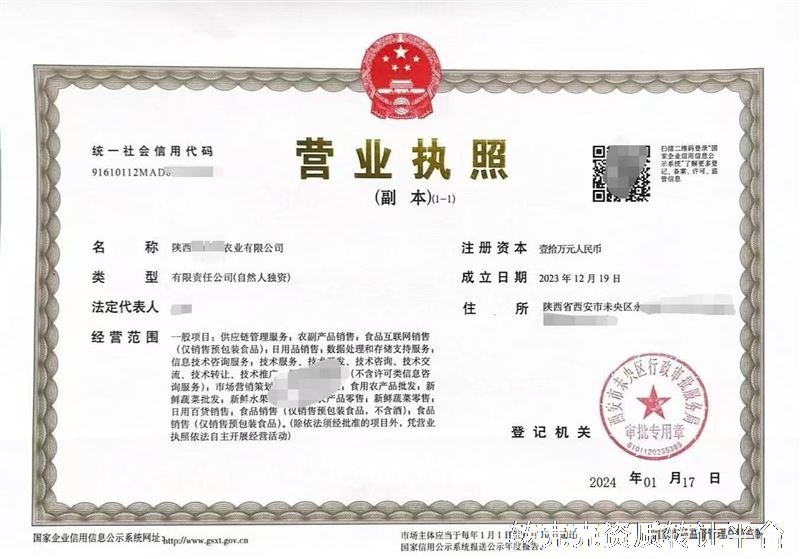 陕西**年农业公司