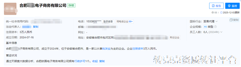 合肥**年半电子商务