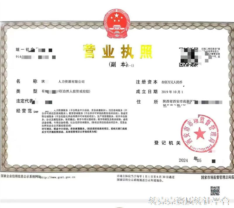 陕西**0**9年人力资源公司