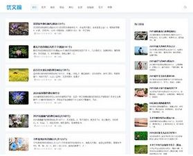 双权2句子网名站 企业备案权重排名 日收站 排名好