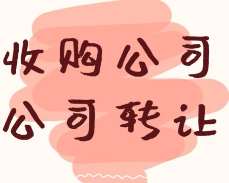 收购一家湖南一年半的信息技术公司