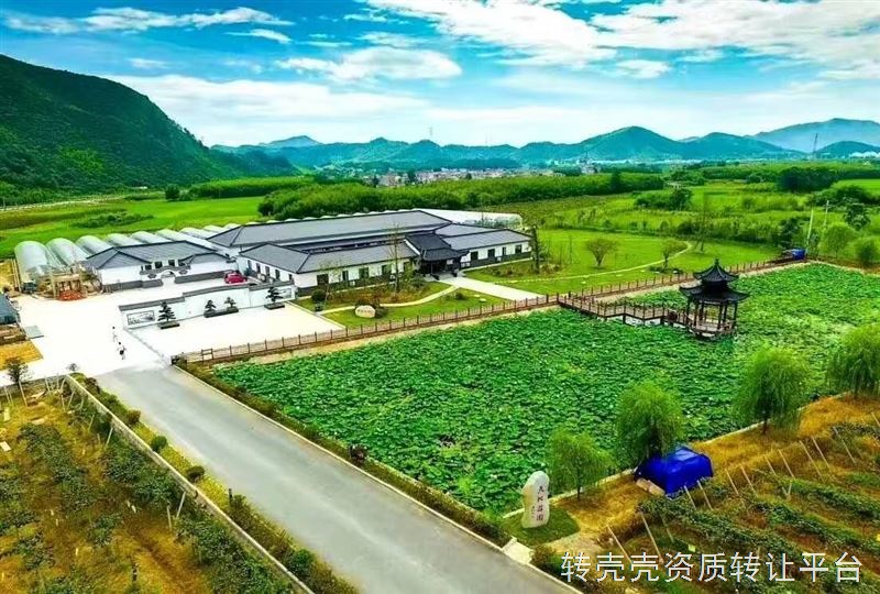 公司转让（农业发展公司，旅游发展公司）