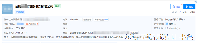 合肥网络科技公司