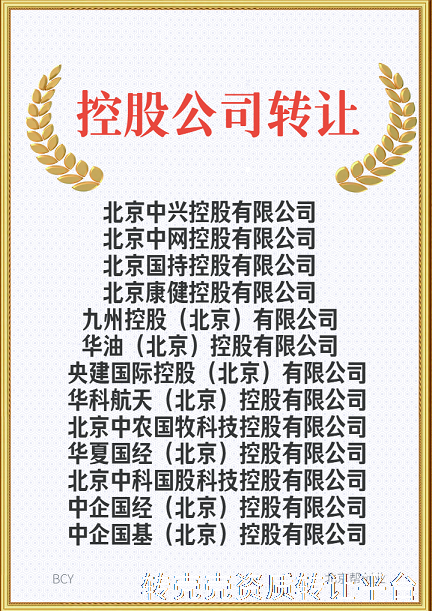 北京中字头控股公司转让