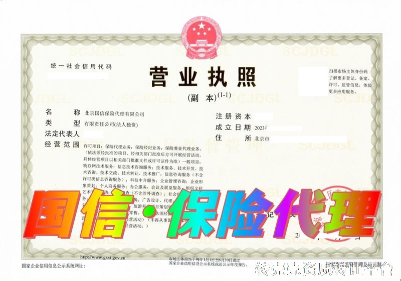 国信保险代理有限公司—— 优质壳公司诚意转让